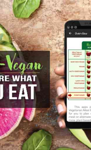 Best Flexi-Vegan Meal Plan Diet 2
