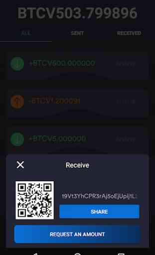 BitcoinV Wallet 3