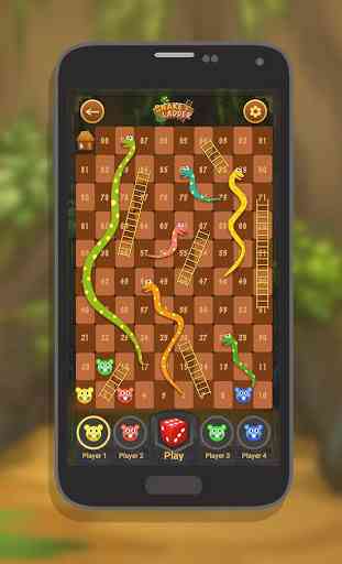 Snakes and Ladders 2D 2