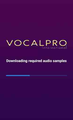 VocalPro 1