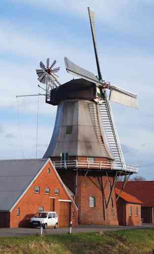 Windmill Wallpaper 1
