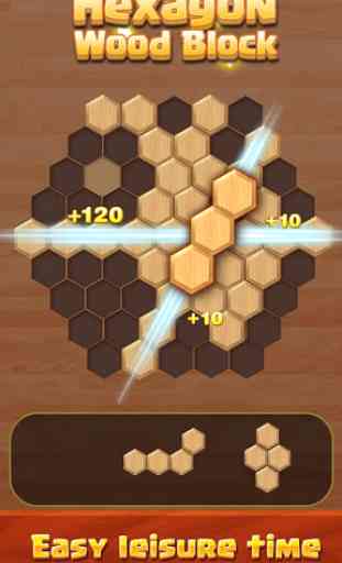 Woody Puzzle:Hexagon 2