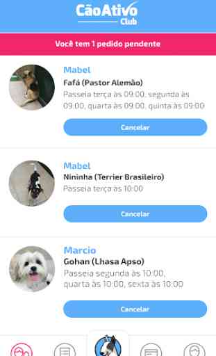 CãoAtivo PRO - App dos Dogwalkers 2