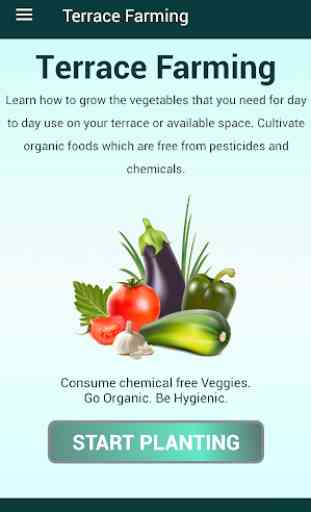 Organic Vegetables Farming 1