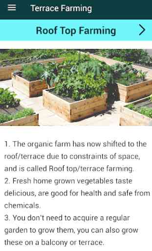 Organic Vegetables Farming 3