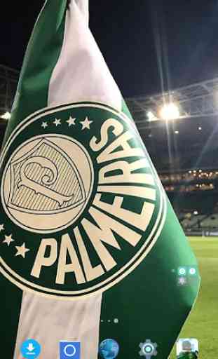 Papel de Parede do Time do Palmeiras 3