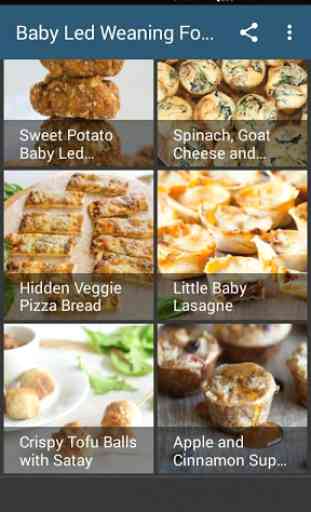 Baby Led Weaning Food Ideas 2