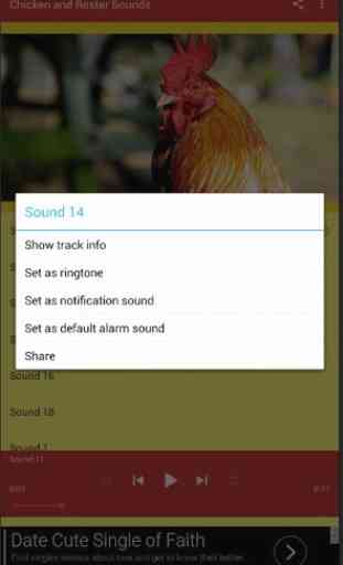 Chicken Rooster Sounds 2