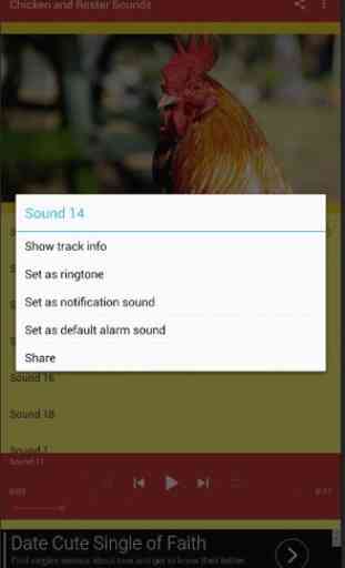 Chicken Rooster Sounds 3