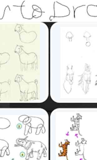 how to draw animals A to Z 1