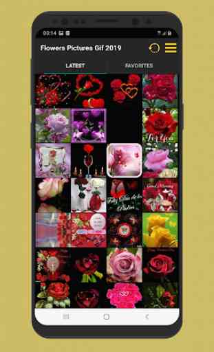 Maravilhosas flores rosas imagens Gif 2