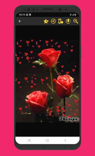 Maravilhosas flores rosas imagens Gif 3