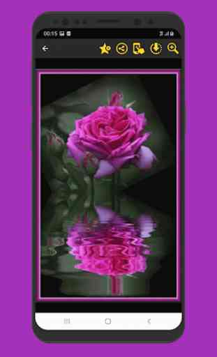 Maravilhosas flores rosas imagens Gif 4