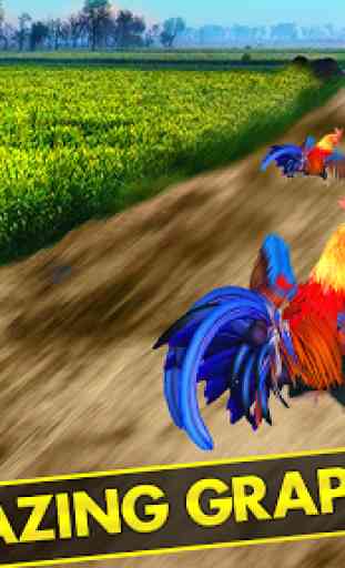 Rooster Race and Run Game 2