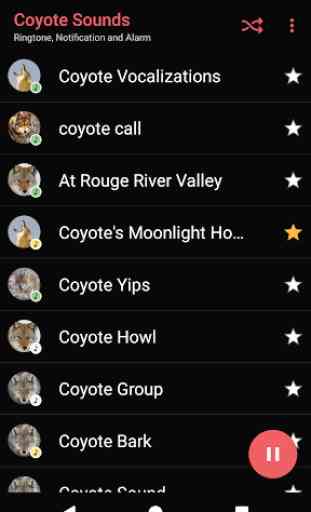 Appp.io - Coyote Sons e chamadas 2