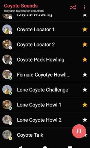 Appp.io - Coyote Sons e chamadas 3