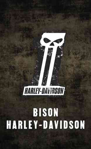 Bison Harley-Davidson 1