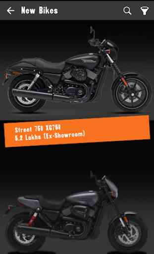 Bison Harley-Davidson 3