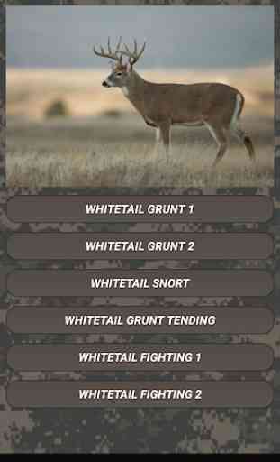 Deer hunting calls:Whitetail, Wapiti, moose sounds 4