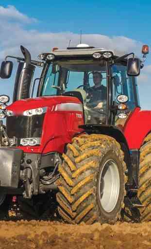 Novos Papéis de Parede Massey Ferguson Tractor 3