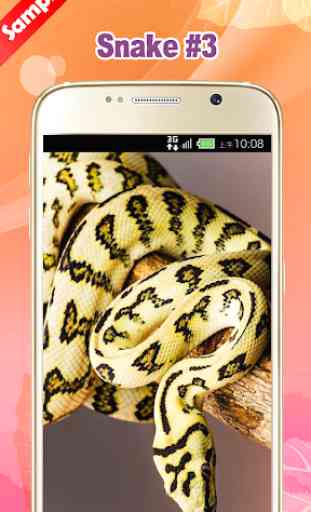 Snake Wallpapers 4