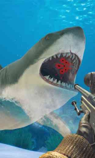 jogos mundiais atacam tubarão 1