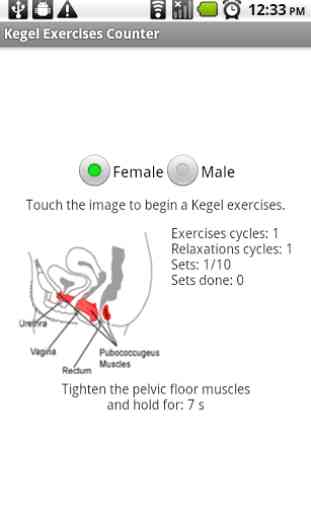 Kegel Exercises Counter 1