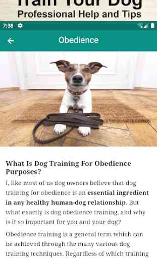 Treinamento de cães, apito, clicker e sons 4