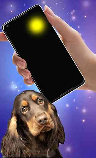 Laser pointer for dogs (PRANK) 2