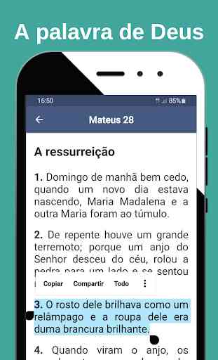 Nova Biblia Viva (Português) 4