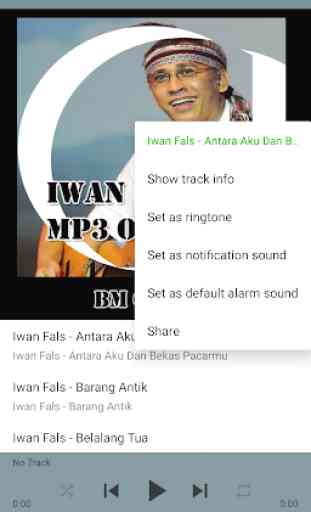 Lagu Iwan Fals MP3 Offline 4