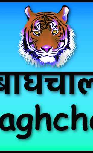Baghchal Game 3