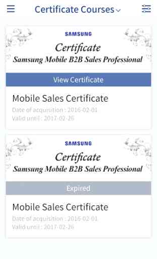 Samsung MBA (Samsung Mobile B2B Academy) 2