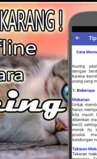 Suara Kucing Mp3 Offline 4