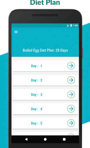 28 Day Egg Diet Plan: Hard Boiled Egg Diet Plan 1
