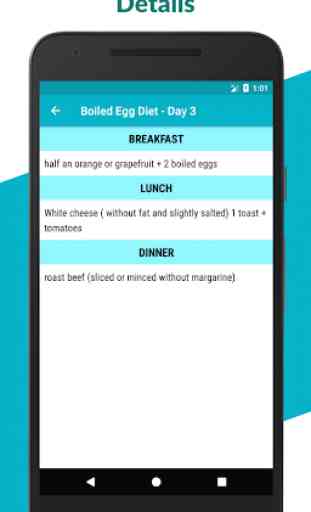 28 Day Egg Diet Plan: Hard Boiled Egg Diet Plan 3