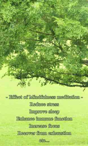 3min. Mindfulness : Meditation Timer - Free ver. 1