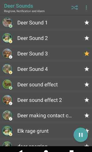 Appp.io - Sounds cervos 2