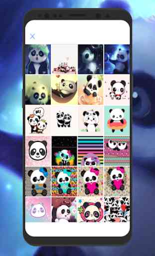 Panda bonito imagens HD 2020 1