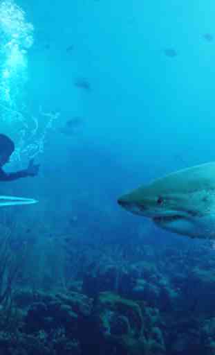 Subaquático Tubarão com fome Sniper Hunter 2,017 3