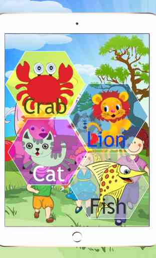 2nd Grade Baby Book Animal Flashcards For Kids or Kindergarden to Learn First Words With Sounds 4