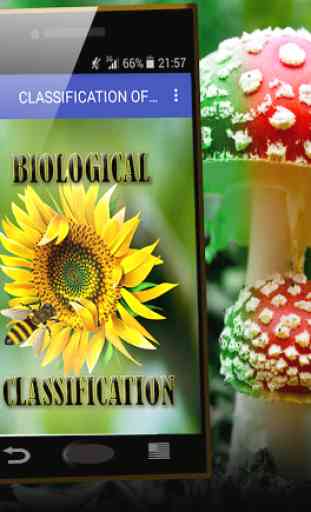 Biological classification 1