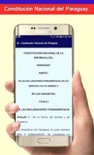 Constitucion Nacional del Paraguay 4