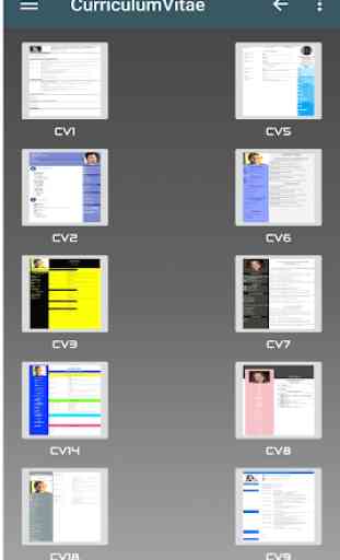 Currículum Vitae PDF 2