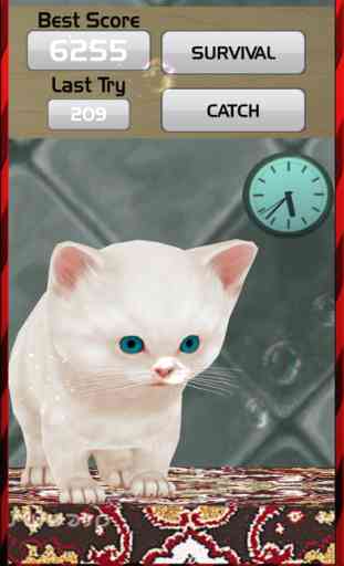 O Gatinho Executar Simulador 2017 - Cute Kitty Pet 2