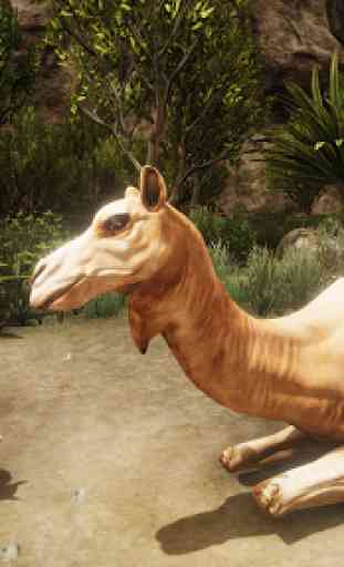 Ultimate Camel Simulator 3