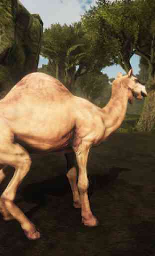 Ultimate Camel Simulator 4