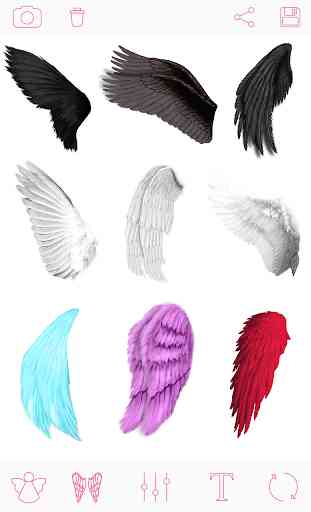 Asas de anjo Angel Wings 1
