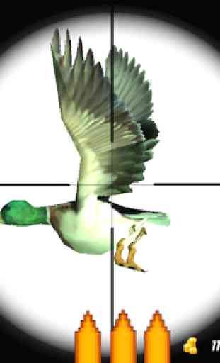 Duck Hunting Unlimited 3D 3