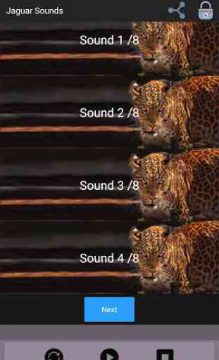 Jaguar Sounds 1